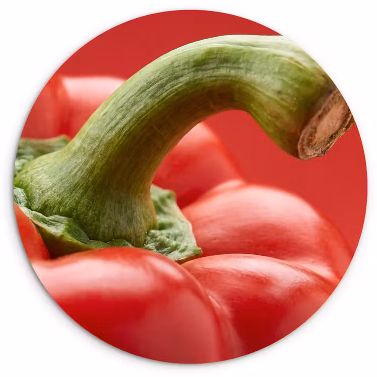 Wall circle - Glass - Food - Bell Pepper - Red - Eten - Paprika - Rood Wandcirkel plexiglas klein