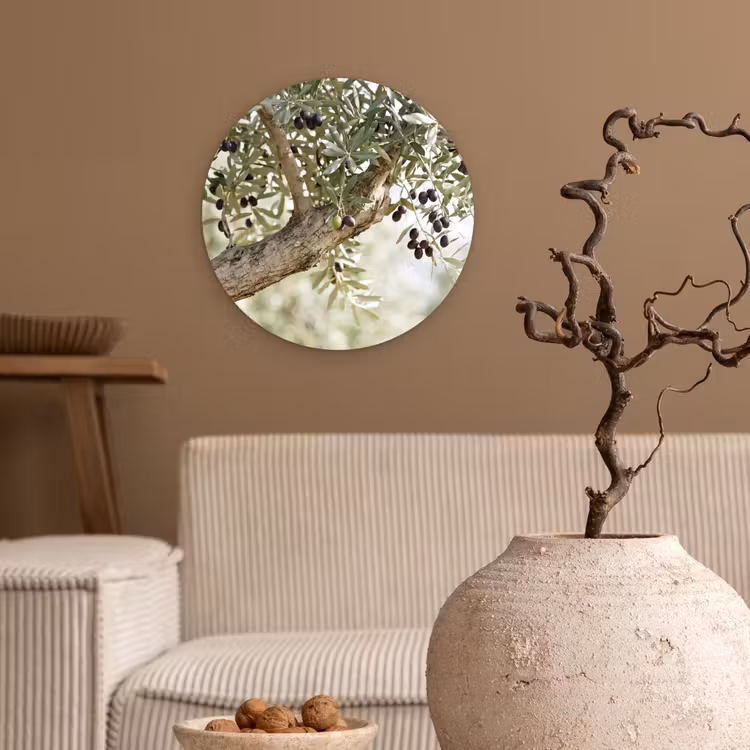 Wall circle - Glass - Olive tree - branch - green - Olijfboom - tak - groen Wandcirkel plexiglas klein