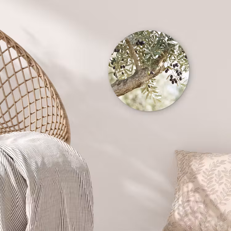 Wall circle - Glass - Olive tree - branch - green - Olijfboom - tak - groen Wandcirkel plexiglas klein