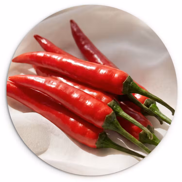 Wall circle - Glass - Pepper - Red - Food - Peper - Rood - Eten Wandcirkel plexiglas klein