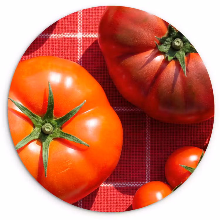 Wall circle - Glass - Tomato - Red - Food - Tomaat - Rood - Eten Wandcirkel plexiglas klein