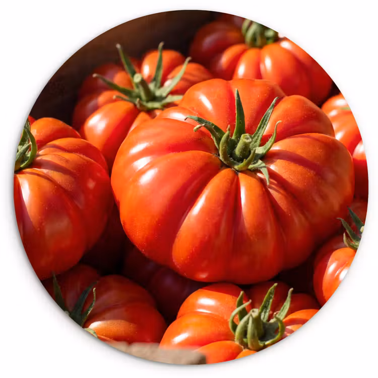Wall circle - Glass - Tomato - Wooden - Crate - Tomaat - Houten - Kist Wandcirkel plexiglas klein