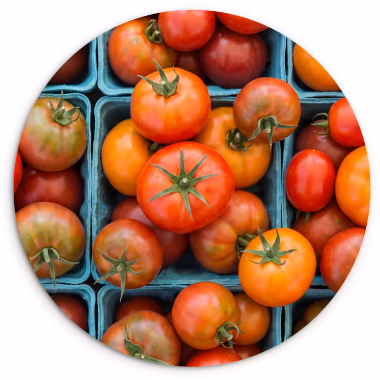 Wall circle - Glass - Tomatoes - Food - Colorful - Tomaten - Eten - Kleurrijk Wandcirkel plexiglas klein