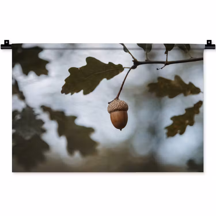 Eikel - Eikenblad - Bos - Herfst - Natuur Wandkleed katoen klein -zz3d