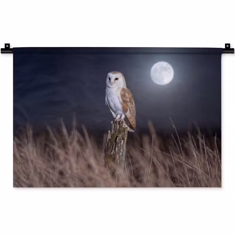 Kerkuil - Maan - Nacht Wandkleed katoen klein -zz3d
