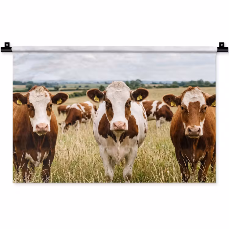 Koeien - Portret - Weide - Boerderij - Nieuwsgierig Wandkleed katoen klein -zz3d