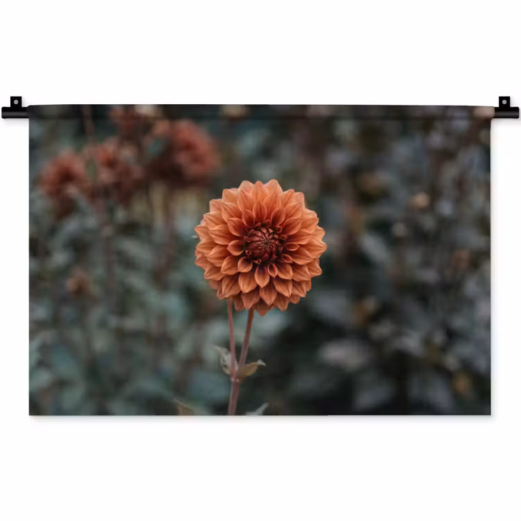 Dahlia - Bloem - Natuur - Sfeervol Wandkleed katoen klein -zz3d