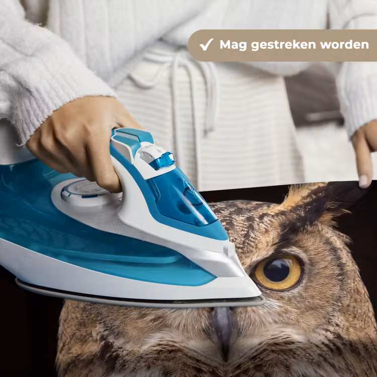 Oehoe - Uil - Portret - Bruin Wandkleed katoen klein -sfeer9