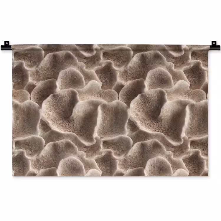 Waaiervorm - Beige - Vezel textuur Wandkleed katoen klein 269 -zz3d