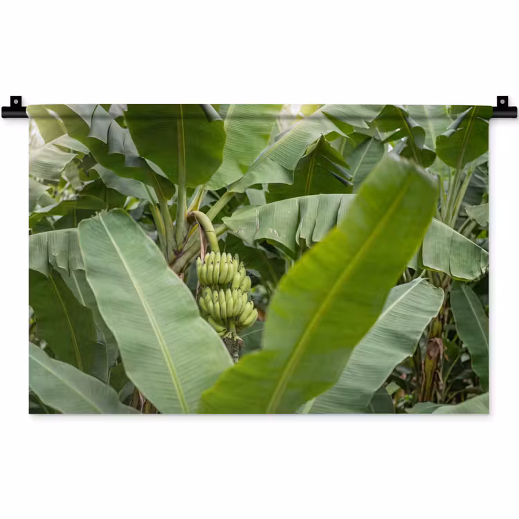 Eten - Bananen - Plantage - Groen Wandkleed katoen klein -zz3d