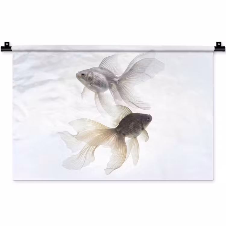 Goudvissen - Modern - Wit Wandkleed katoen klein -zz3d