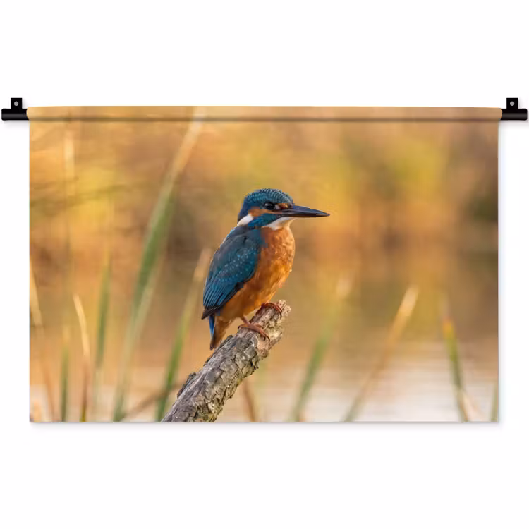 IJsvogel - Tak - Water - Kleurrijk - Levendig Wandkleed katoen klein -zz3d