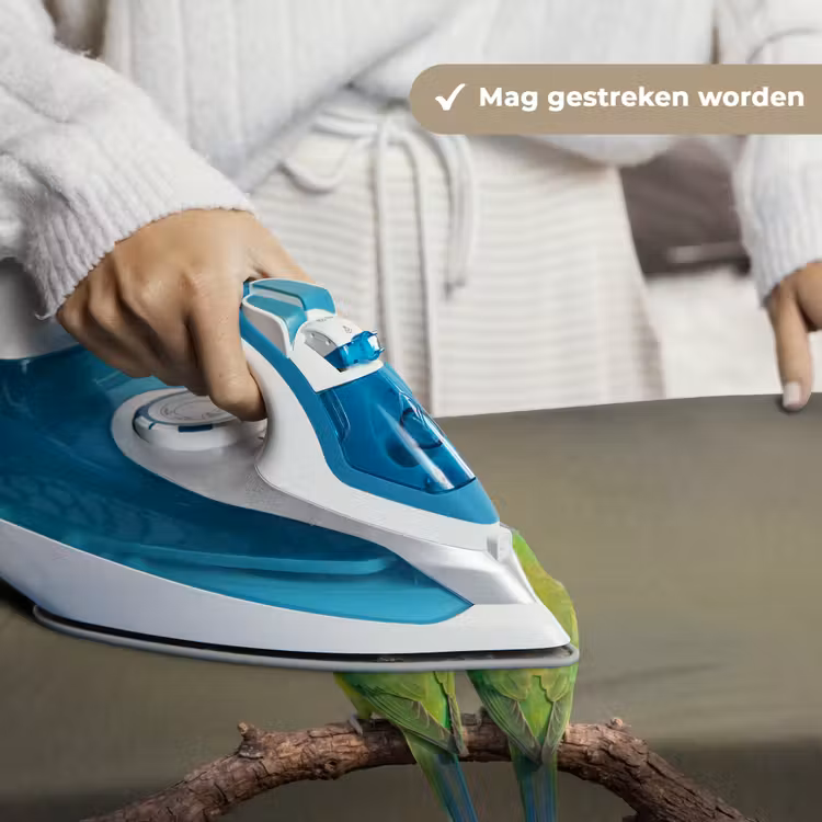 Papagaai - Tak - Natuur - Kleurrijk Wandkleed katoen klein -sfeer9