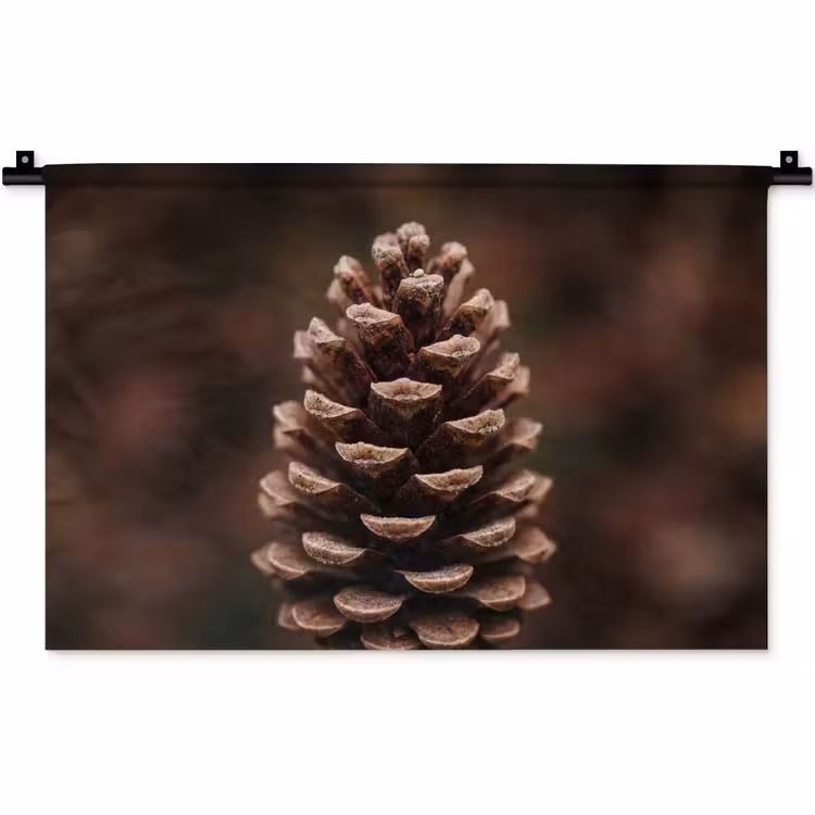 Dennenappel - Bos - Herfst - Bruin - Sfeervol Wandkleed katoen klein -zz3d