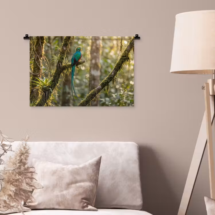 Quetzal - Jungle - Natuur - Groen Wandkleed katoen klein -sfeer4