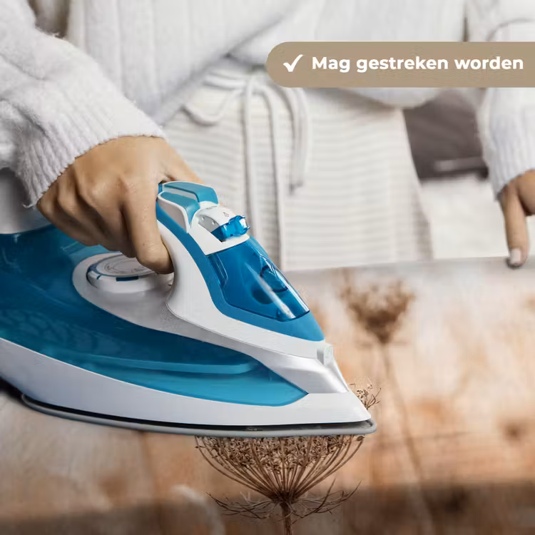 Schermbloem - Droogbloem - Winter - Beige - Minimalistisch Wandkleed katoen klein -sfeer9