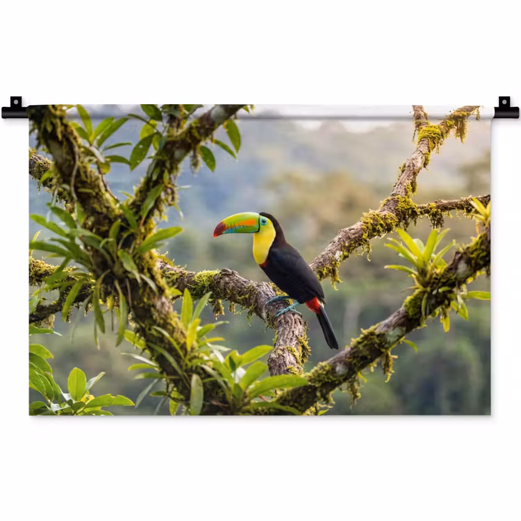 Toekan - Jungle - Natuur - Kleurrijk Wandkleed katoen klein -zz3d