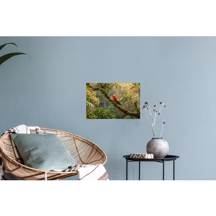 Ara - Jungle - Rood Muursticker klein -plant