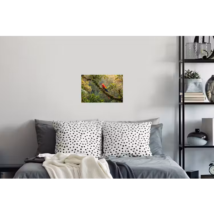 Ara - Jungle - Rood Muursticker klein -slaapkamer
