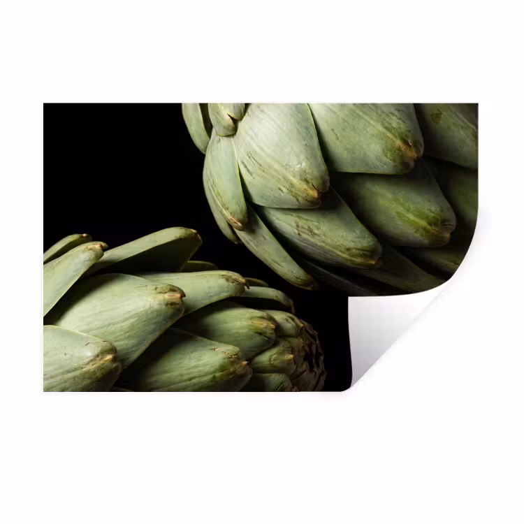 Wall Sticker - Artichoke - Green - Food - Artisjok - Groen - Eten Muursticker klein