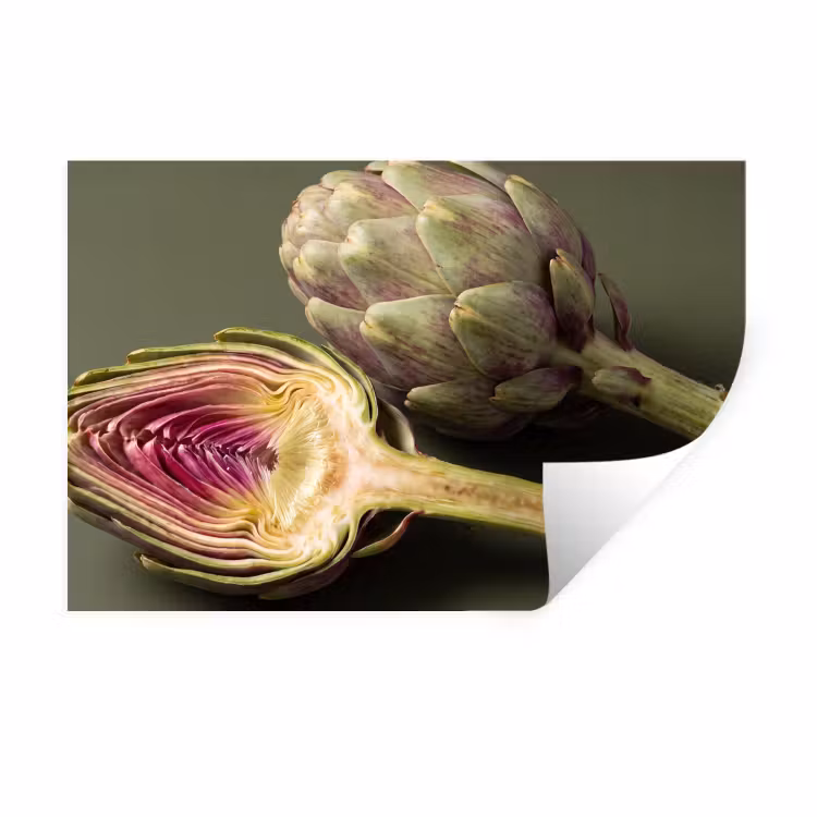 Wall Sticker - Artichoke - Purple - Food - Artisjok - Paars - Voedsel Muursticker klein