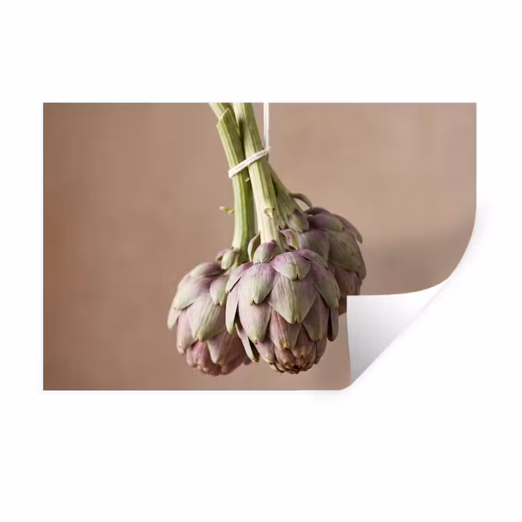 Wall Sticker - Artichokes - Hanging - Vegetables - Artisjokken - Hangend - Groenten Muursticker klein