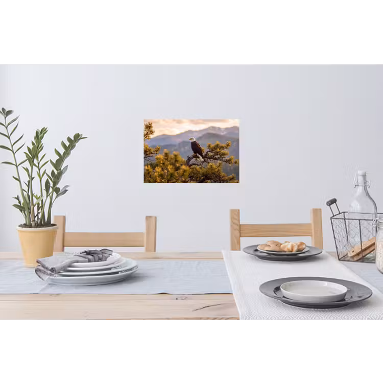 Zeearend - Boom - Bergen - Groen Muursticker klein -eettafel