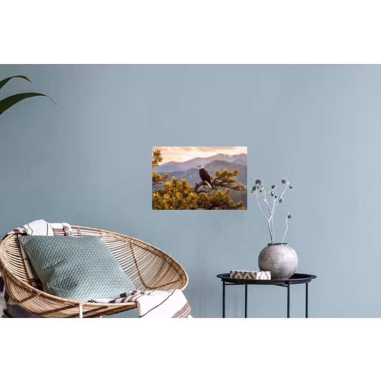 Zeearend - Boom - Bergen - Groen Muursticker klein -plant