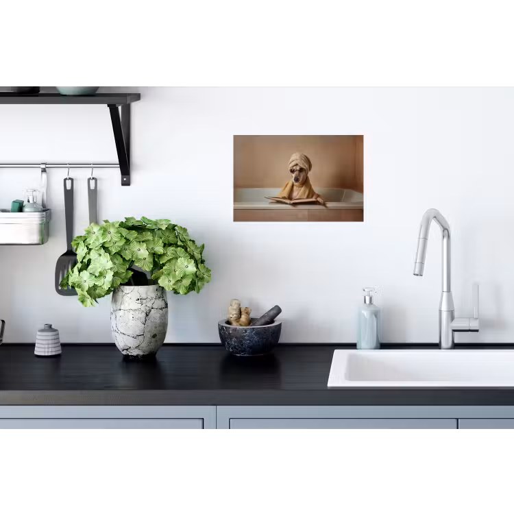 Bad - Hond - Boek - Zonnebril Muursticker klein -keuken
