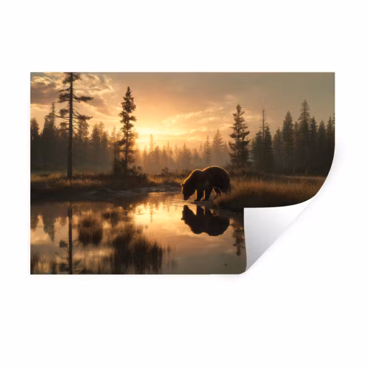 Beer - water - Bos - Ochtendlicht Muursticker klein -3d