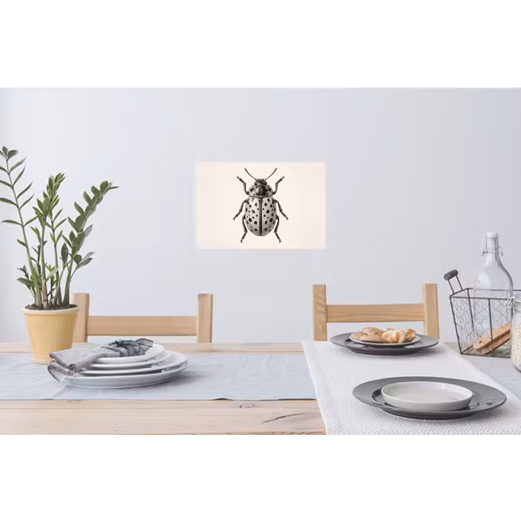 Kever - Insect - Vintage Muursticker klein -eettafel