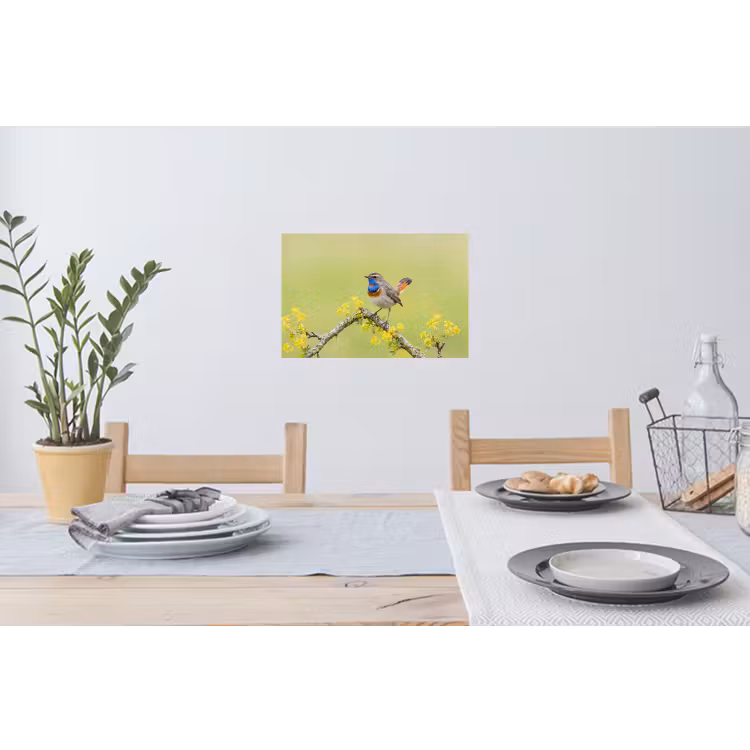 Vogel - Tak - Natuur - Kleurrijk Muursticker klein -eettafel