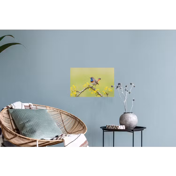 Vogel - Tak - Natuur - Kleurrijk Muursticker klein -plant