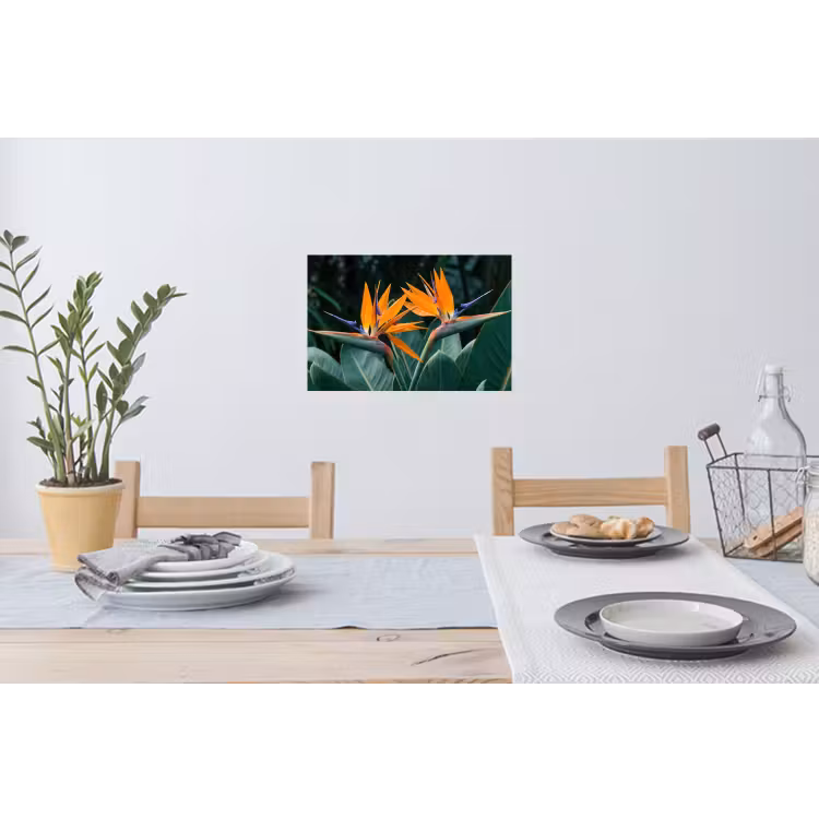 Paradijsvogel - Bloem - Exotisch Muursticker klein -eettafel
