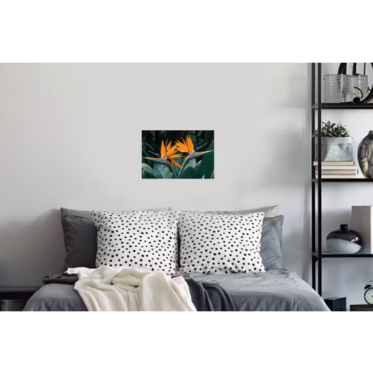 Paradijsvogel - Bloem - Exotisch Muursticker klein -slaapkamer