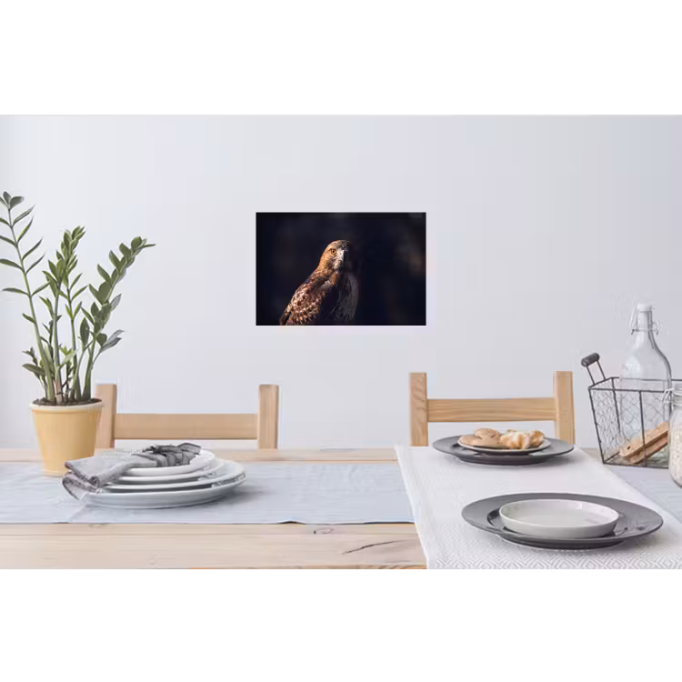 Roofvogel - Buizerd - Bruin Muursticker klein -eettafel