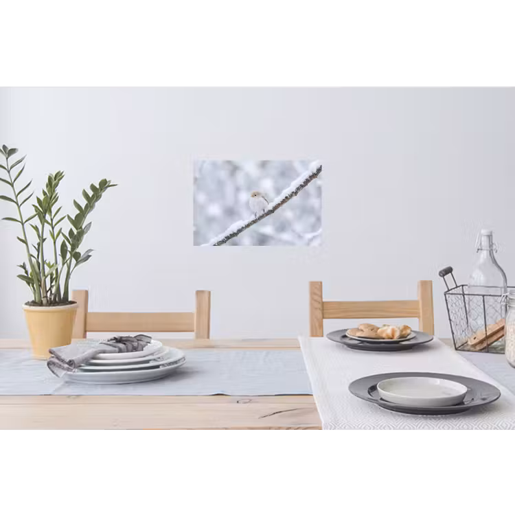Vogeltje - Sneeuw - Tak - Winter - Zacht Muursticker klein -eettafel