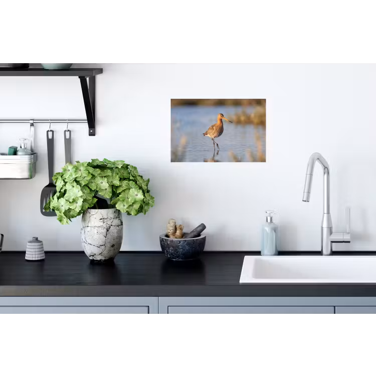 Vogel - Steltloper - Water - Natuur Muursticker klein -keuken