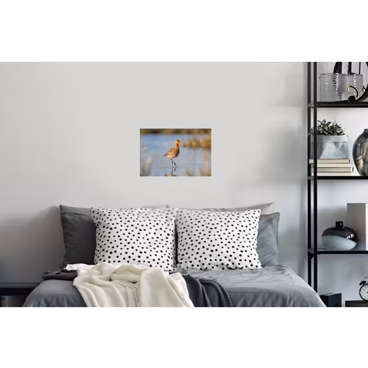 Vogel - Steltloper - Water - Natuur Muursticker klein -slaapkamer