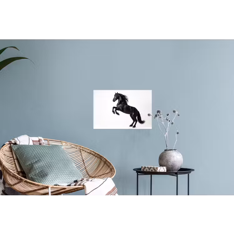 Zwart - Paard - Portret Muursticker klein -plant