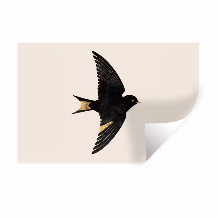 Zwarte zwaluw - Gouden accenten - Lichte achtergrond Muursticker klein -3d