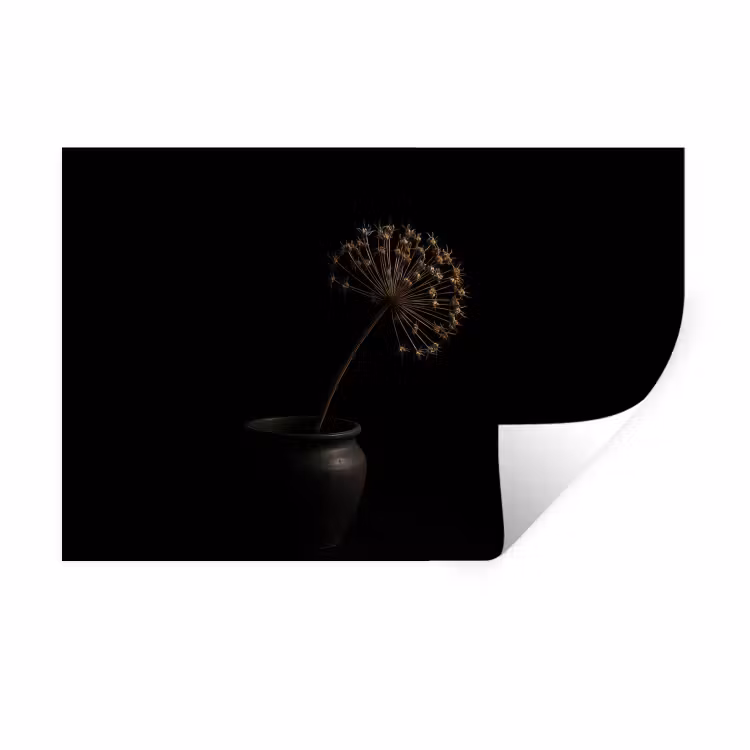 Bol - Gedroogd - Vaas - Zwart Muursticker klein -3d