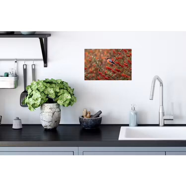 Goudvink - Bessen - Herfst - Natuur - Kleurrijk Muursticker klein -keuken