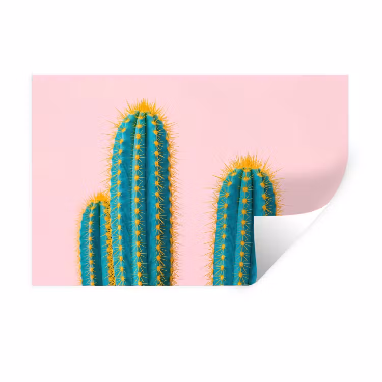 Cactussen - Modern - Pastel Muursticker klein -3d