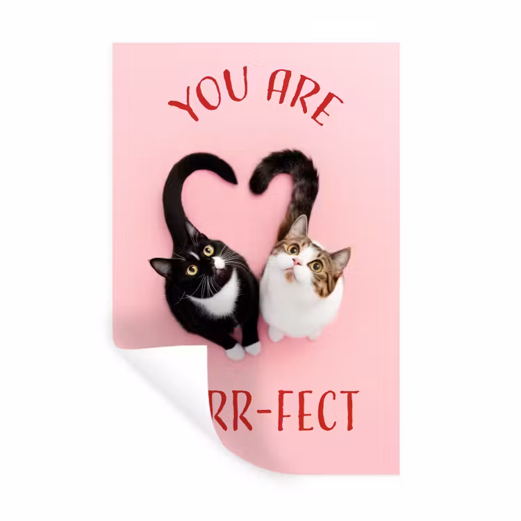 Kat - Hart - Tekst - Valentijn Muursticker klein -3d