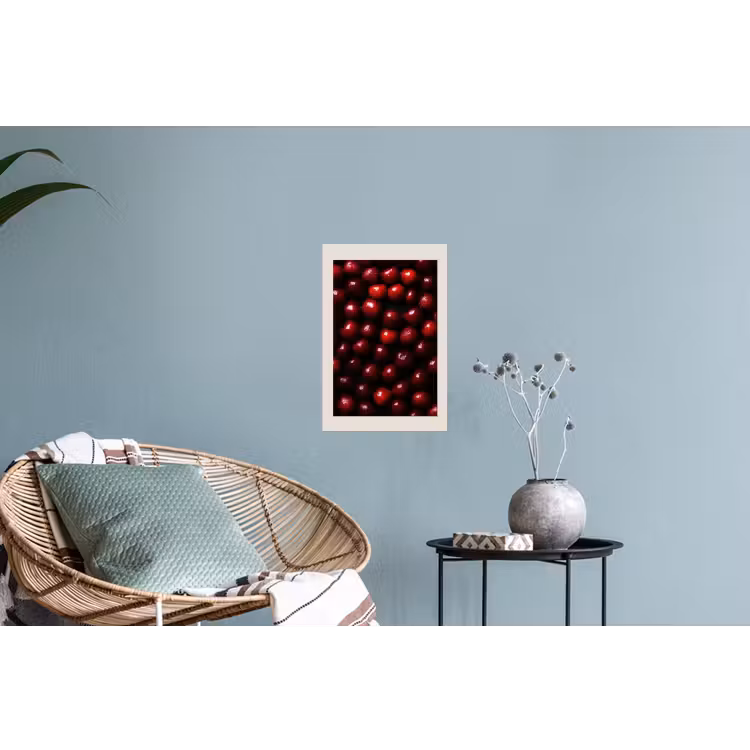 Kersen - Rood Muursticker klein -plant