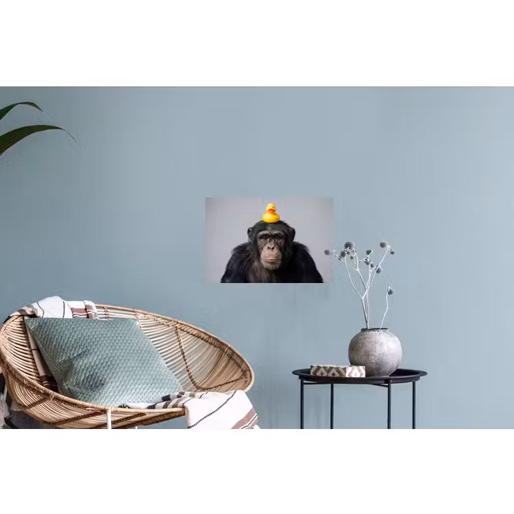 Chimpansee - Badeend - Grijs Muursticker klein -plant