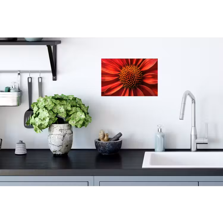 Close up - Bloem- Rood Muursticker klein -keuken