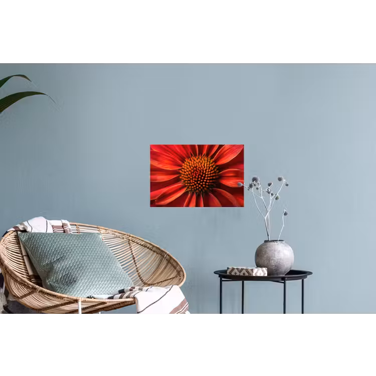 Close up - Bloem- Rood Muursticker klein -plant