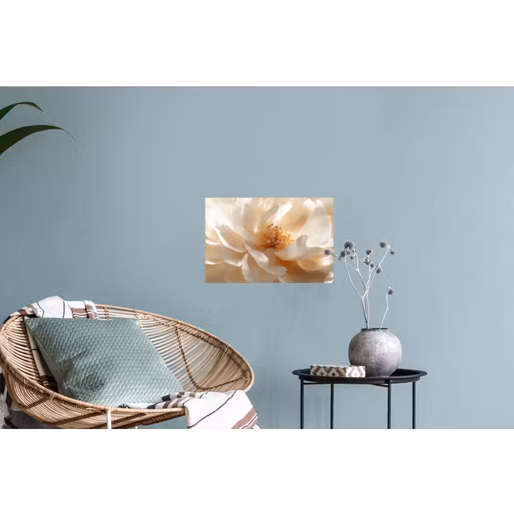 Close up - Pioenroos - Wit Muursticker klein -plant